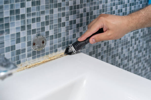 Best Office Mold Removal Services  in Oswego, NY